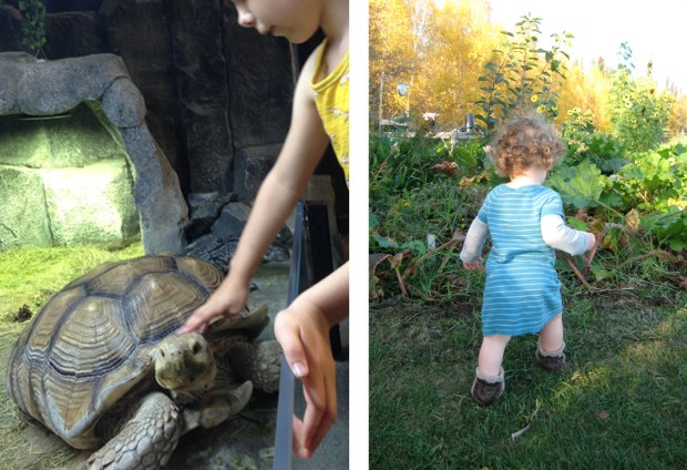 spend time in nature