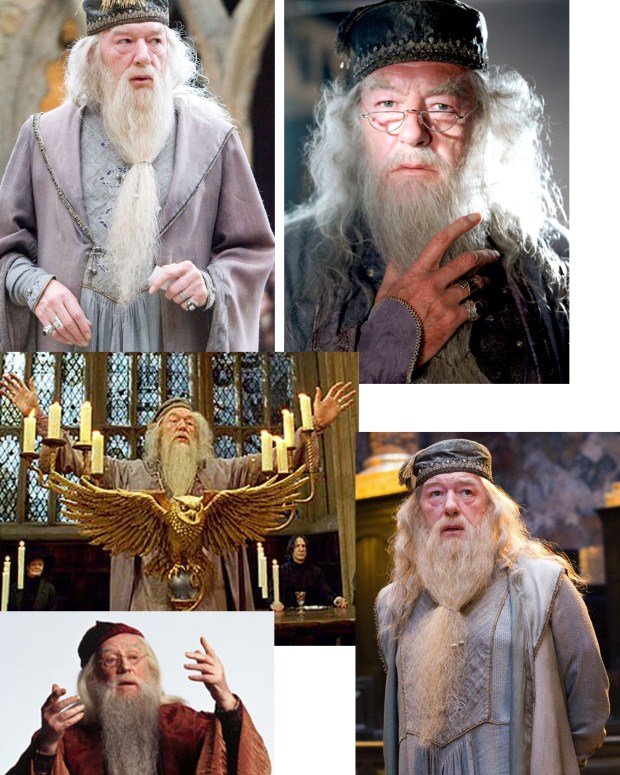 dumbledore-references